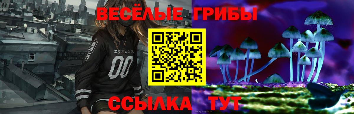 Городец  наркошоп  Вход с VPN  Галлюциногенные грибы Magic Shrooms 